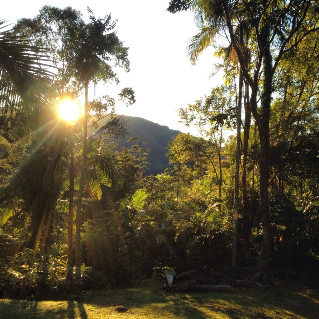 Byron Bay Meditation Mindfulness Retreats